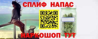 не бодяженный Гай