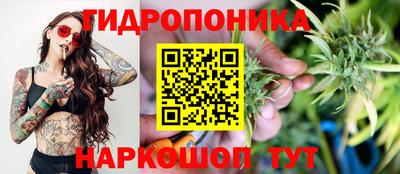 не бодяженный Гай